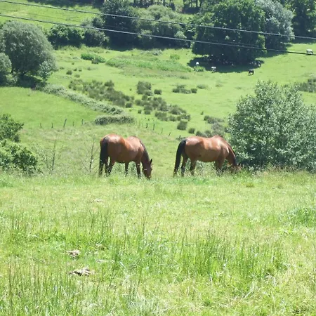 Holiday home De Gonzalo Asturias Sariego