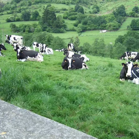 De Gonzalo Asturias Sariego